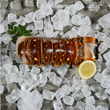 Fine Food Queues de langoustes crues 400g