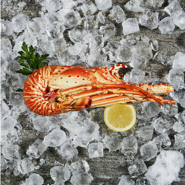 Langoustes demi cuites 250g