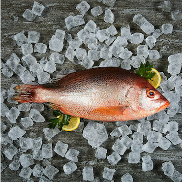 Vivaneau cramoisi 600g