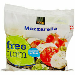 Free From Fromage mozzarella sans lactose 125g