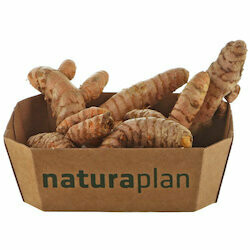 Bio Curcuma 100g