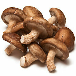 Bio Champignons shiitake env. 100g