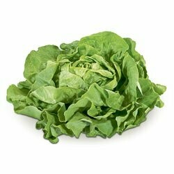 Naturaplan Bio Salade pommée verte 1 pièce