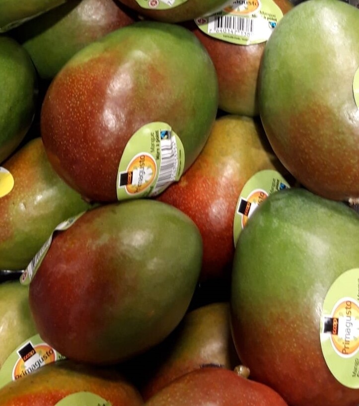 Max Havelaar Primagusto Mangue x1piece