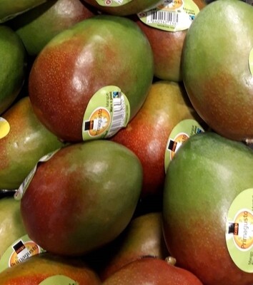 Max Havelaar Primagusto Mangue x1piece
