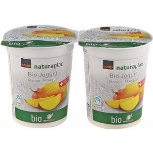 Bio Max Havelaar Yogourt Mangue 2x180g