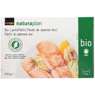 Bio Filets de saumon surgelés 2 pièces 250g