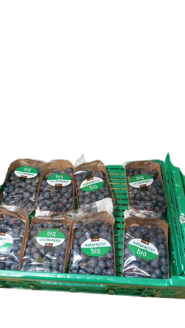 Myrtilles bio. 200g