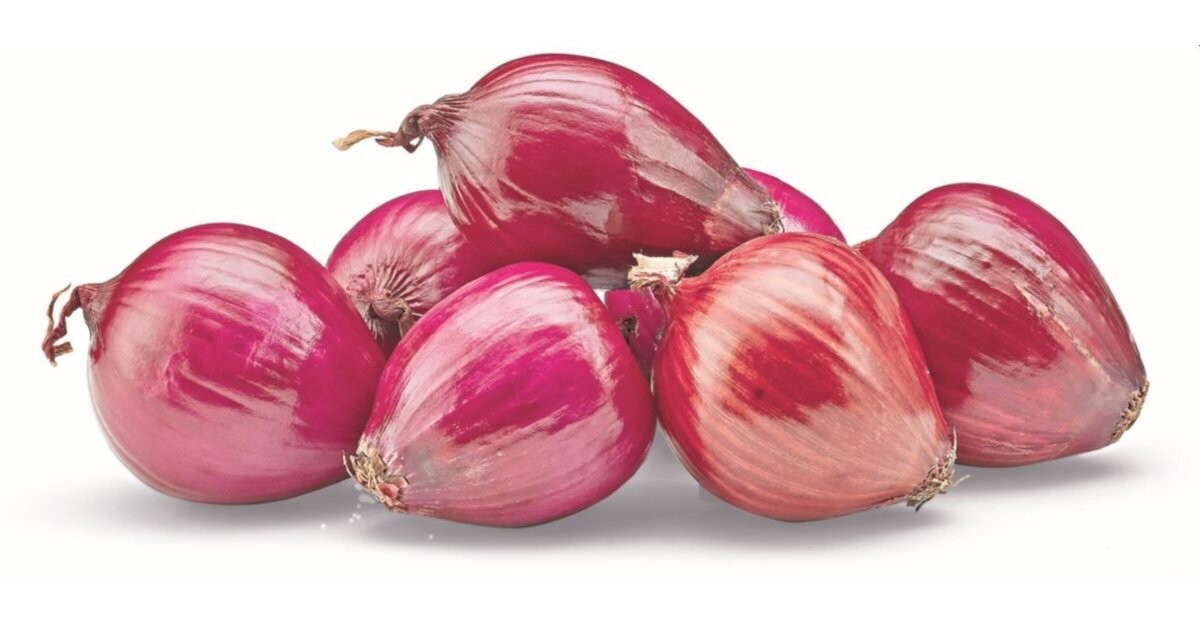 Oignons rouges 500g