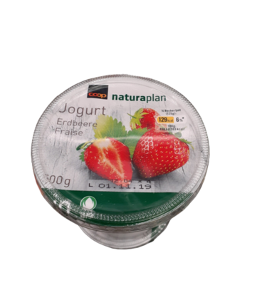 Bio Yogourt Fraise 1x500g