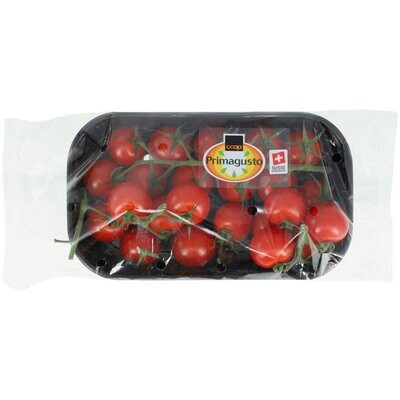 Tomates Cherry Primagusto