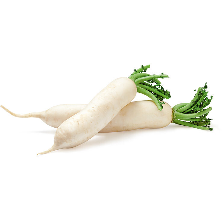 Radis longs blanc