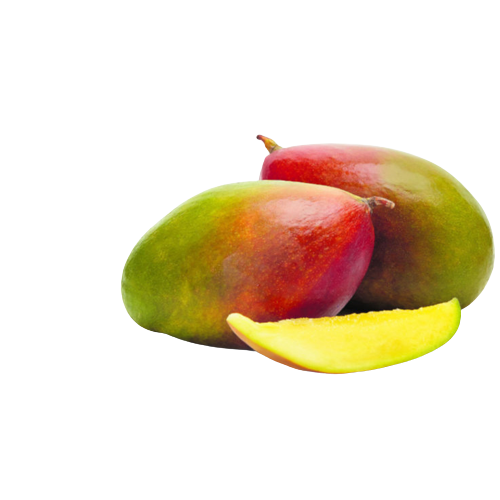 Mangue 2pce