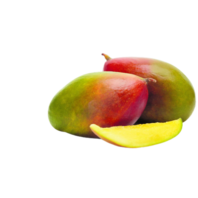 Mangue 2pce