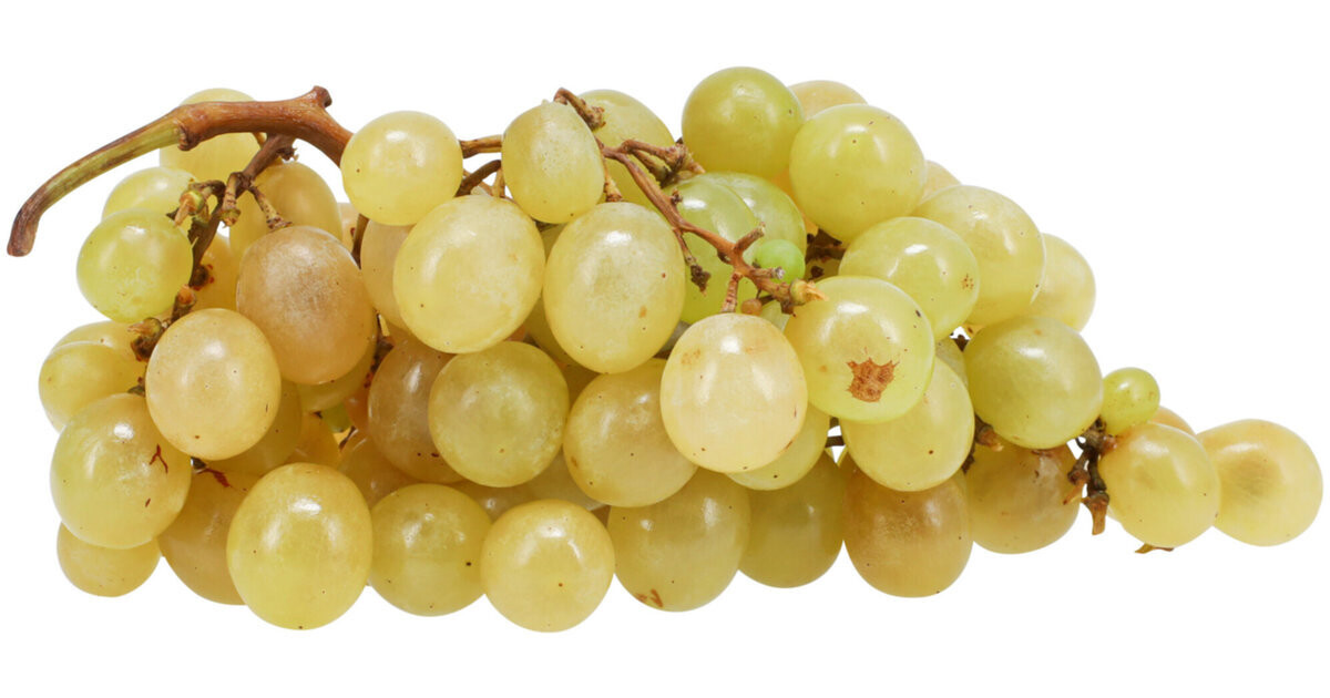 Raisin Blanc 1Kg