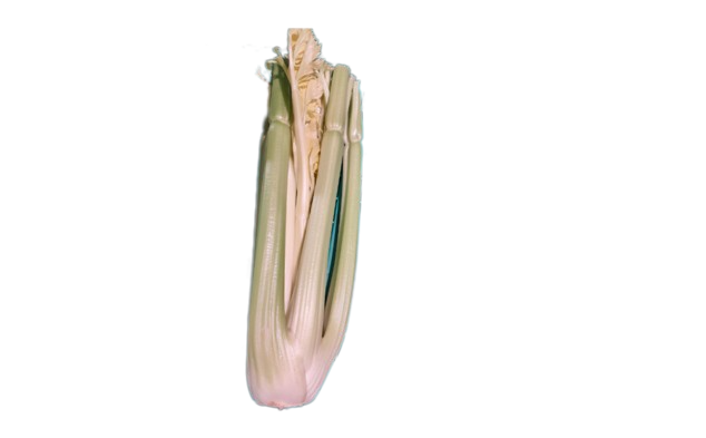 Celeri-branche 500g