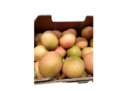 bio Pamplemousse rouge 1kg