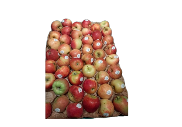 Bio Pomme Gala 750g