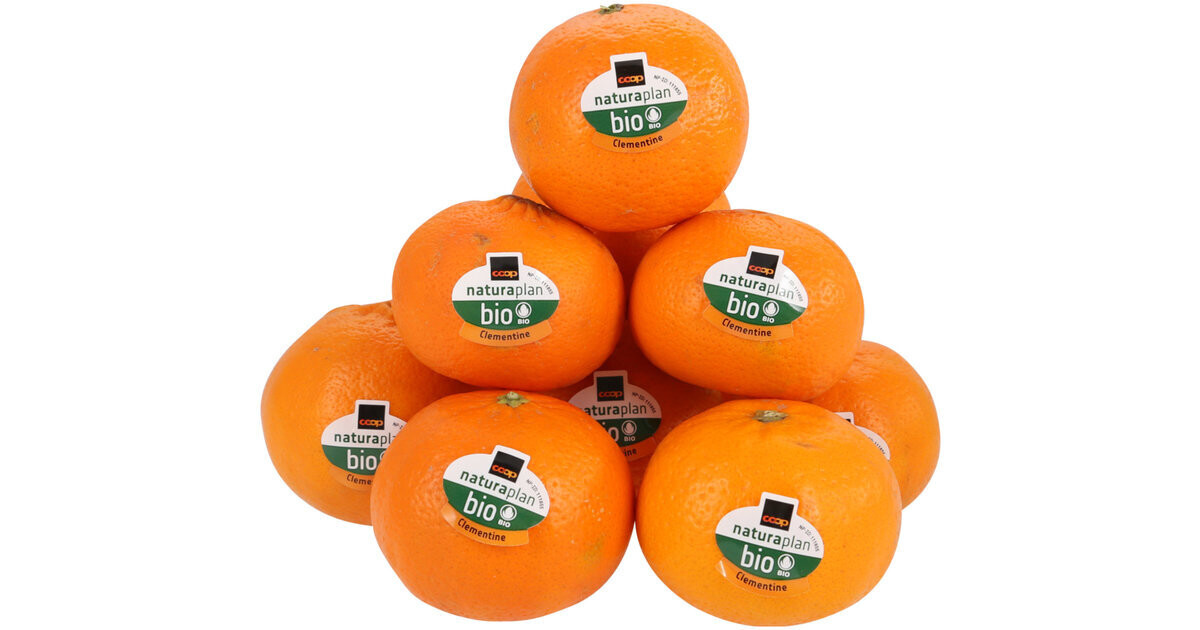 Bio Clementines 1Kg