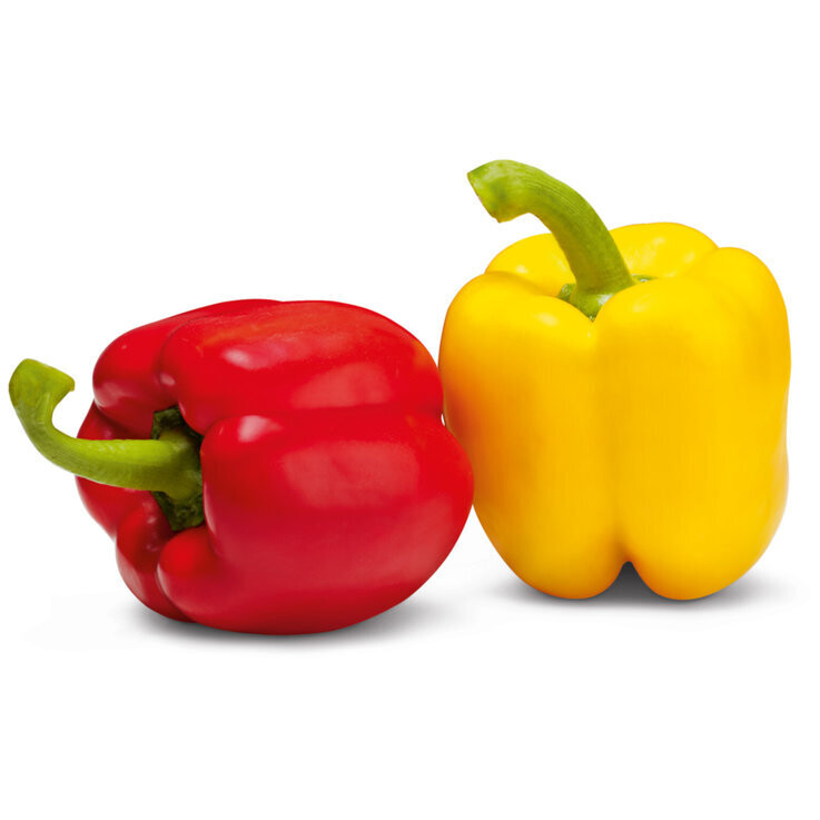 Poivrons bicolore env. 500g