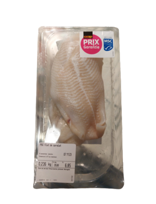 MSC Filet de carrelet