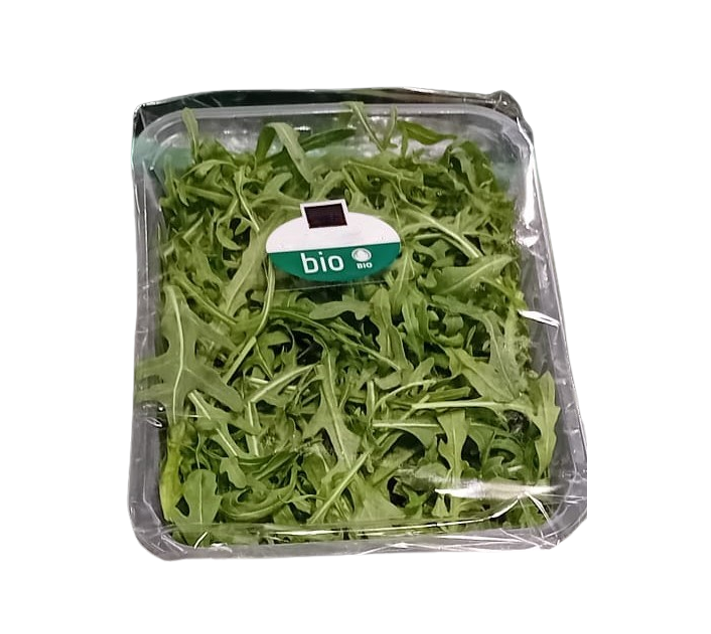 Bio Roquette 1x100g