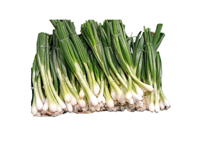 Oignons Bottes