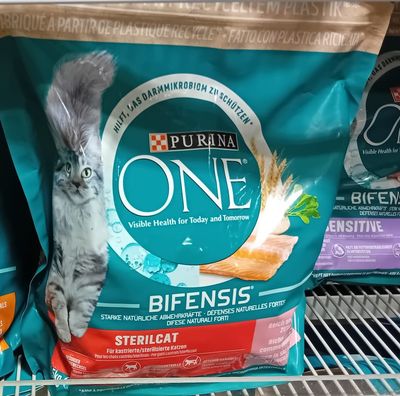 Purina ONE Croquettes au saumon &amp; blé Sterilcat pour chat 1500g