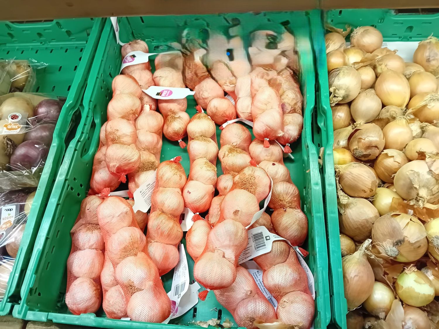 Ail 1 pièces