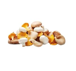 Champignons mélanges 500g