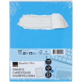 Qualité&amp;Prix cahiers E5 quadrillés 4mm sans cadre 2 pièce