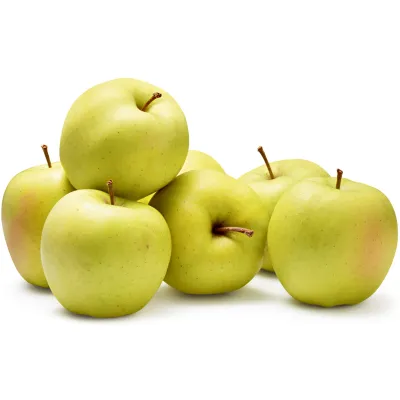 Bio Pommes Gala 4-6 pièces env. 1kg