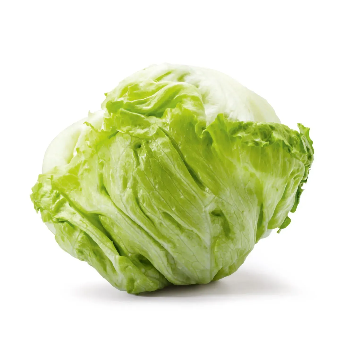 Bio Salade Iceberg 1pce