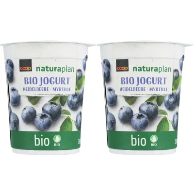 Yogourt bio Myrtille 2x180g