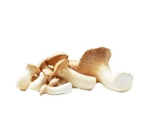 Bio pleurotes du panicaut 100g