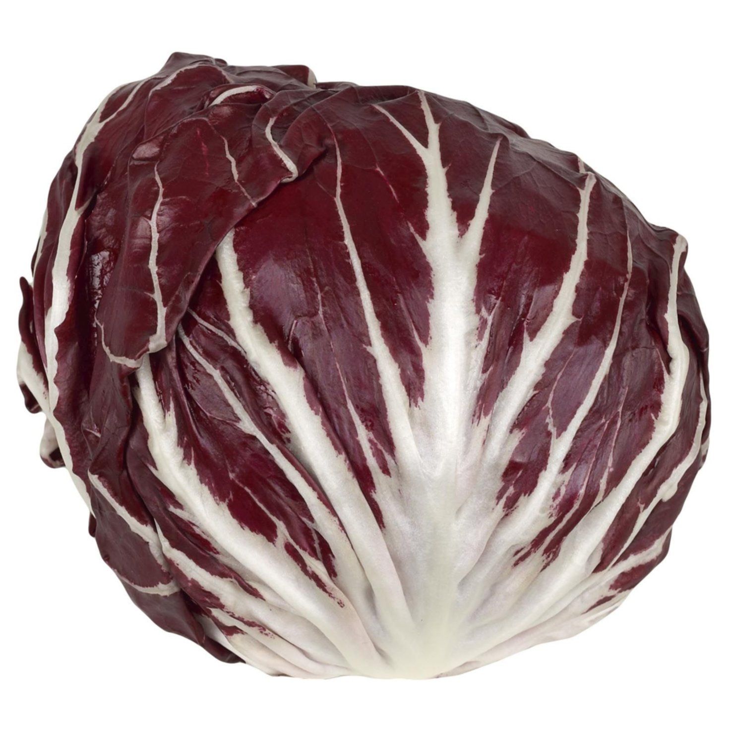 Bio Chicorée  1x500g