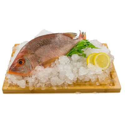 Vivaneau cramoisi 600g