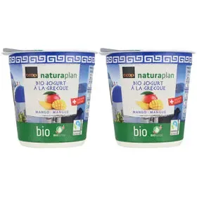 Bio MH yogourt à la Grecque Mangue 2x150g