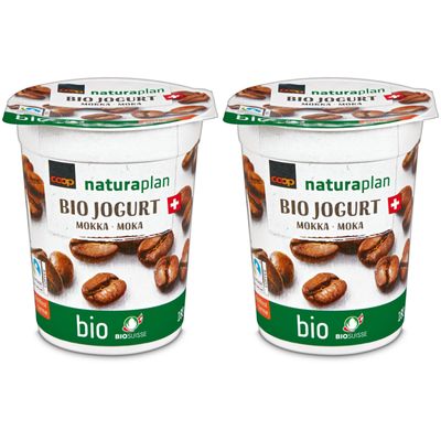 Bio Max Havelaar Yogourt Moka 2x180g