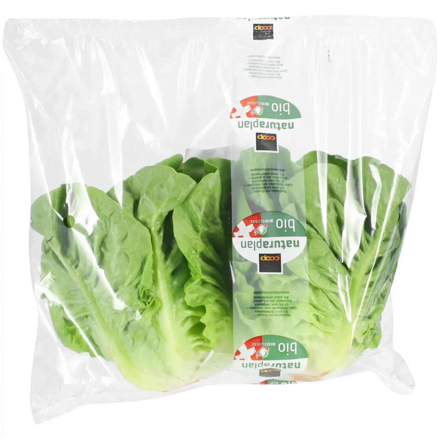 Bio Mini laitues romaines 2 pièces (200g)