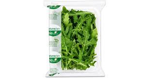 Bio Roquette 1x100g