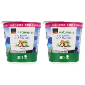 Bio Yog. à la Grecque Noix 2x150g