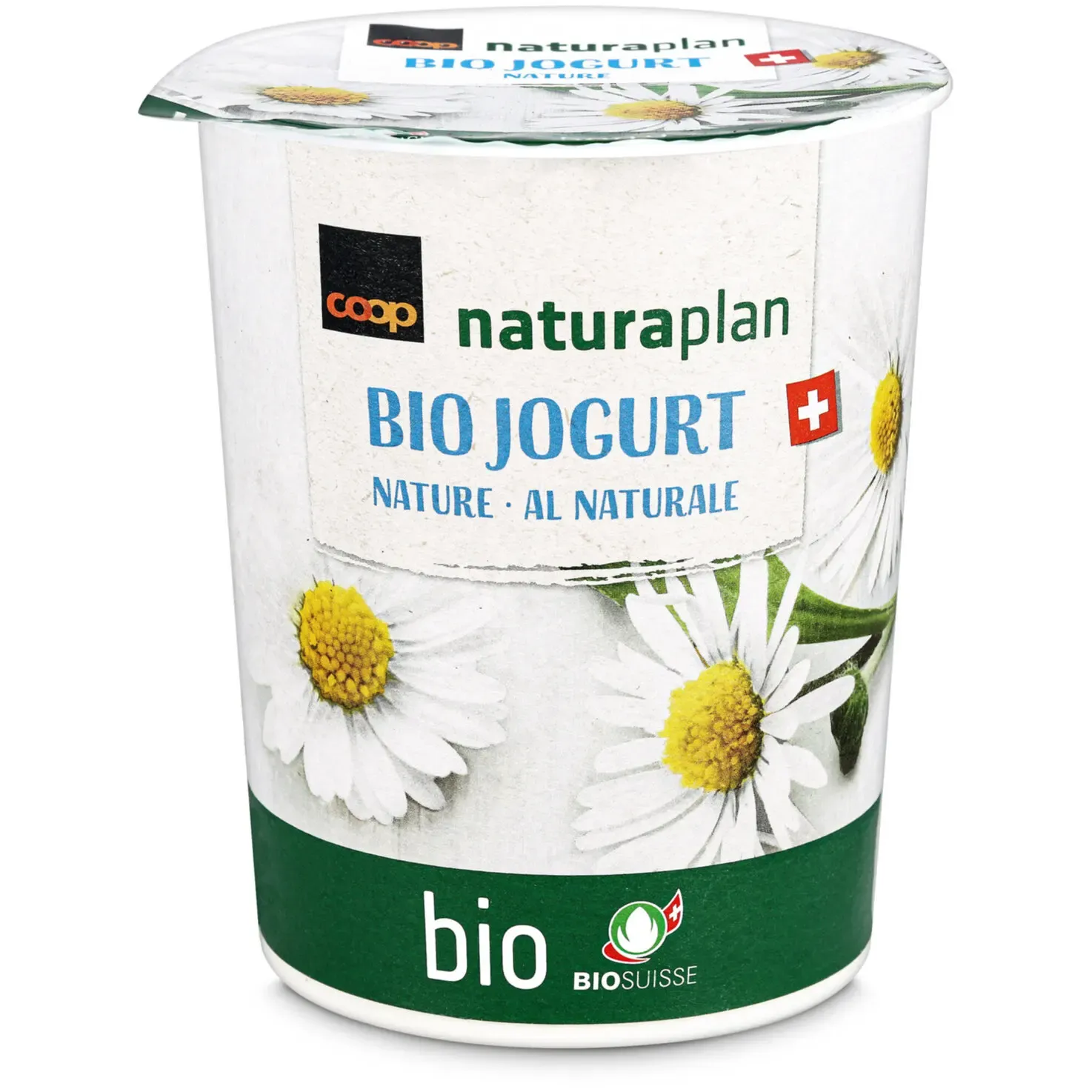 Bio Yogourt Nature 1x500g