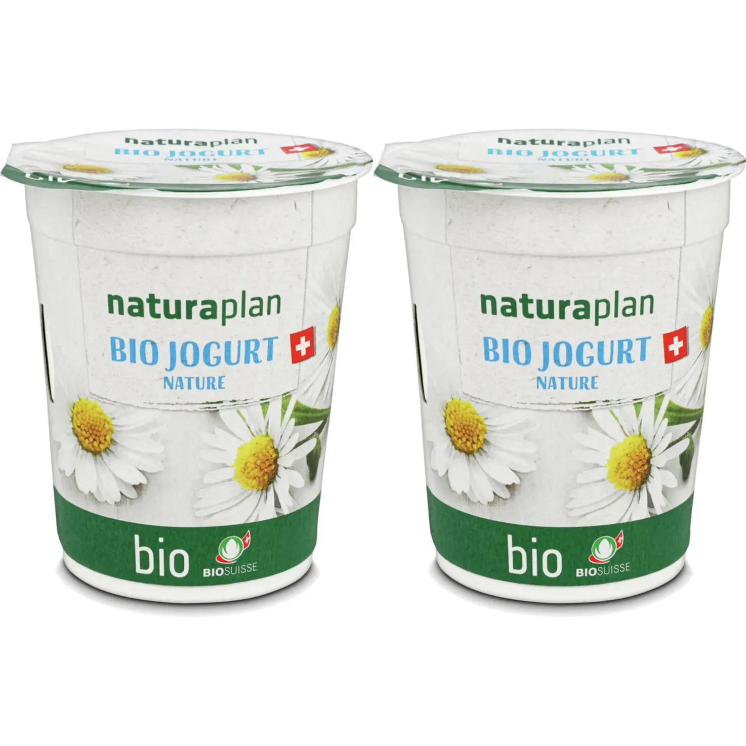 Bio yogourt Nature 2x180g
