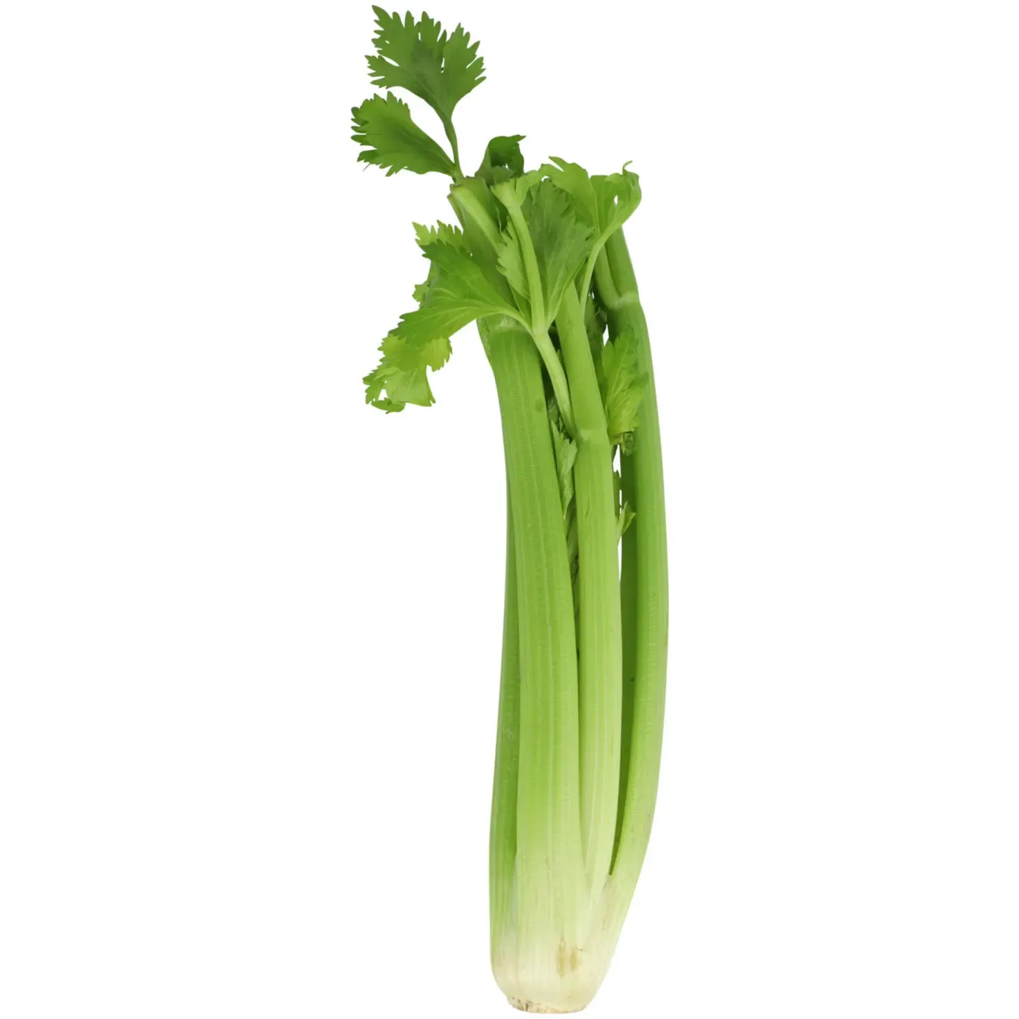 Celeri-branche 500g