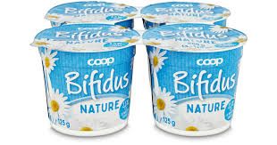 Yogourts bifidus nature 4x125g 500g