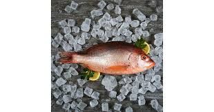 Vivaneau cramoisi 600g