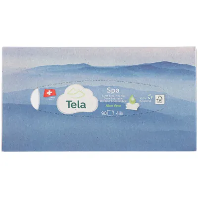 Mouchoirs en papier Tela Spa boîte 90 pièces