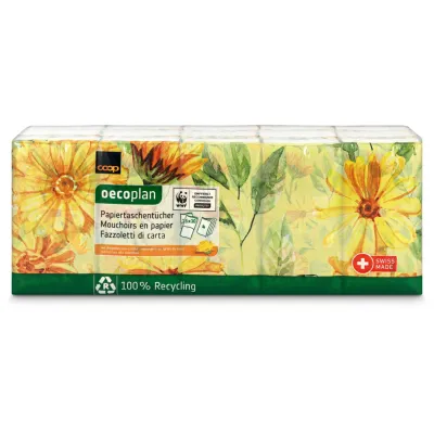 Oecoplan Paquets de mouchoirs 15x10 pièces
