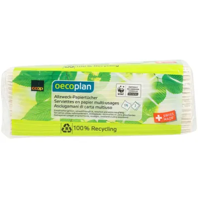 Oecoplan papier multi-usage 176 pièces